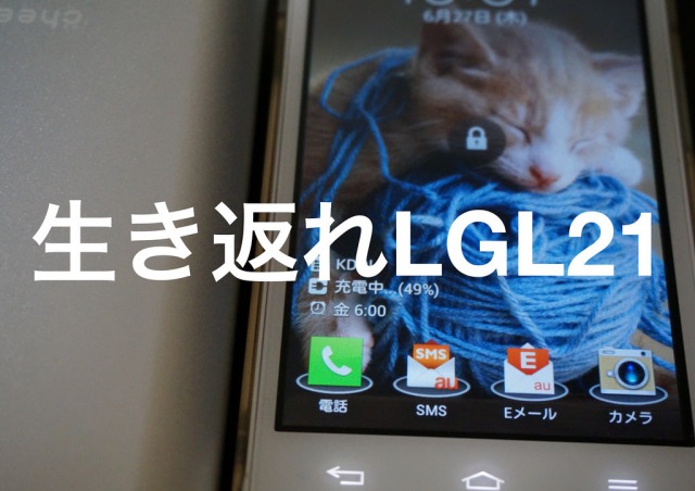lgl21-repair-1